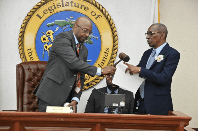 Constitutional Convention Delegates, Others, Share Hopes for Success